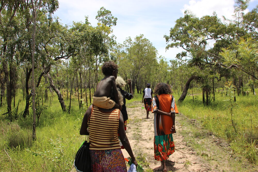 Image | By Ingrid Johanson. Babbarra women visiting billabong near Barridjowkeng homeland.