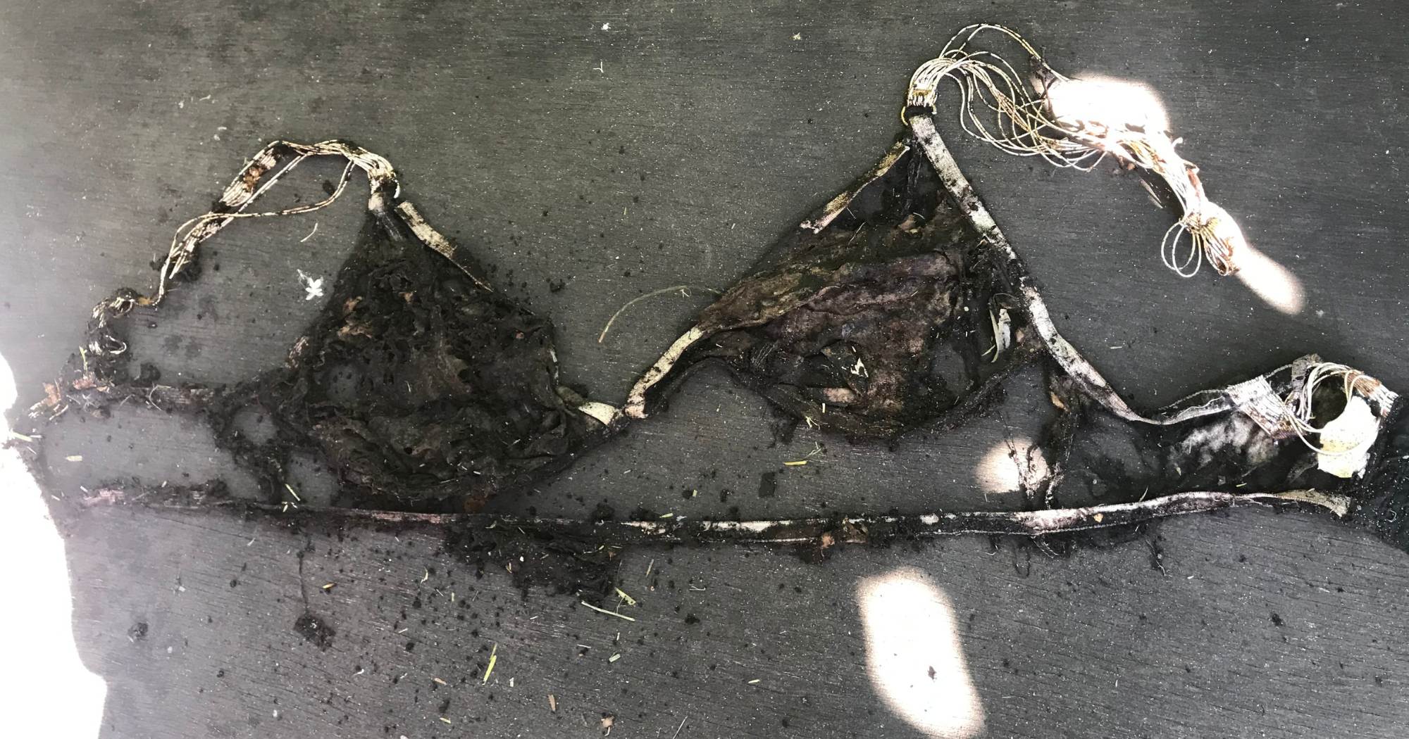 The Very Good Bra is compostable and will breakdown in a worm farm